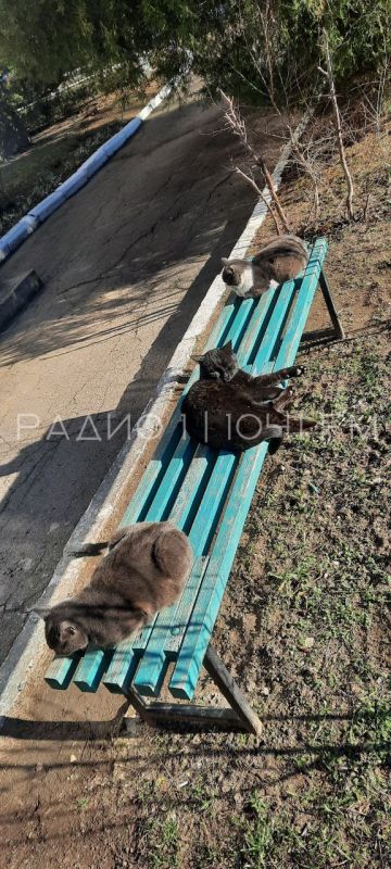 � �������� �� ���������� ��������� �����