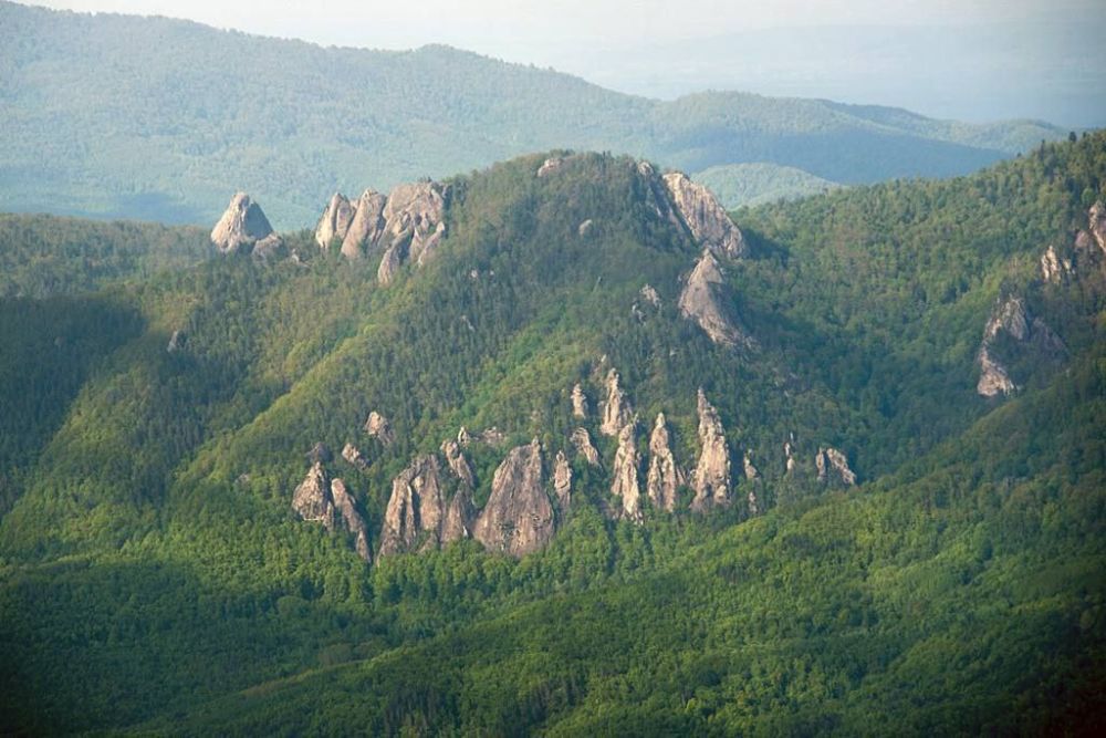 � ���� � ������ ���� ���������� 5 �������� �������� �� ������ 2000�