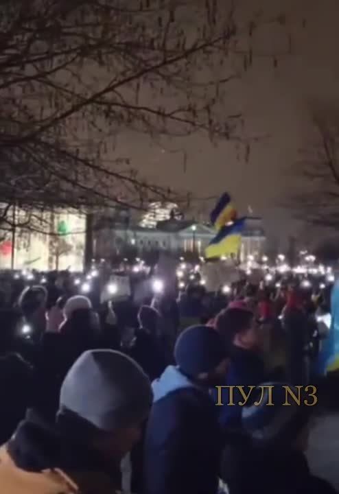 �Free Leopards right now!�: �������� ����� �������� �������� ������ ����� ������ ������ � ����������� ���������� ������������ ����� �����