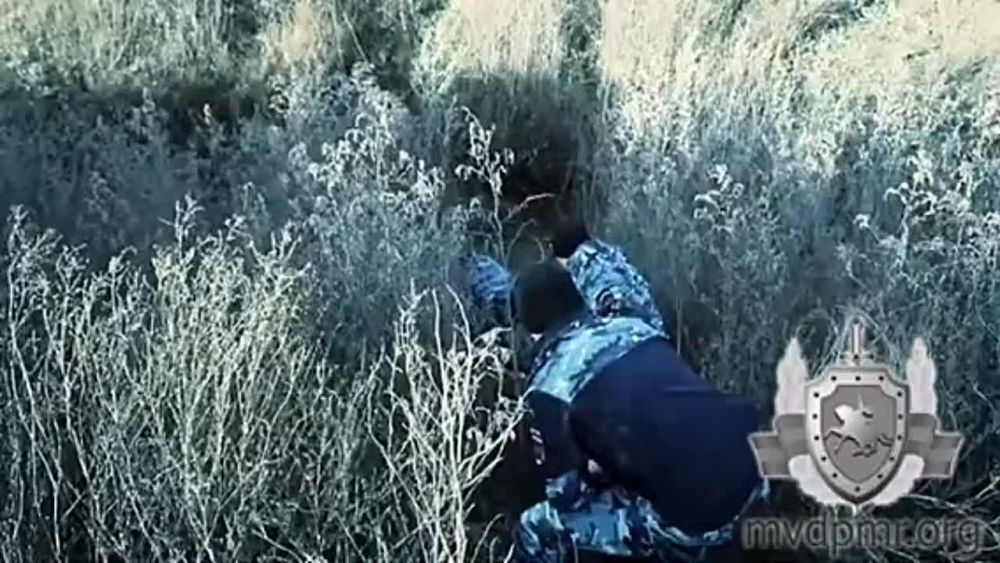 � �������� 18 ������ ���������� ��� ������ �����