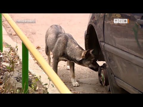 ������� ��� ������� ����� �� ������� � ������������� ����������� ������. � ������� ��������, ������ � ������ ���. ��...