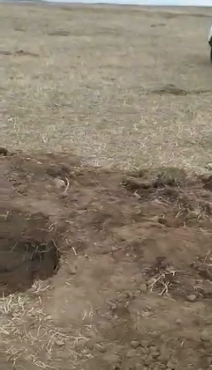 � ������� ������������ ������������� �������