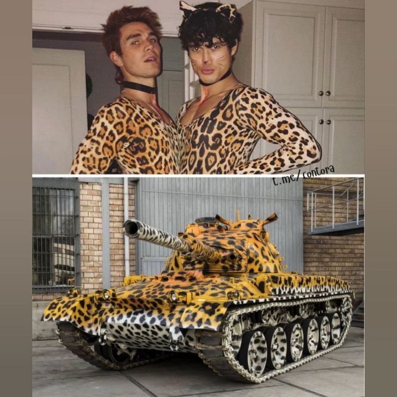 �������� �������� ������� 19 ������ ��������� ������ � ���������