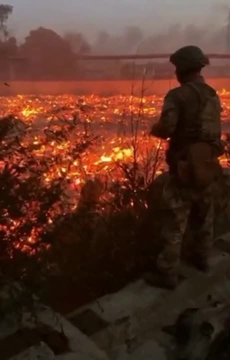 �� �� ������� ��� ������ ������ ��� �� �����