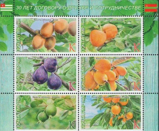 ����������� ����� ��������� 30-����� ������ � ��������