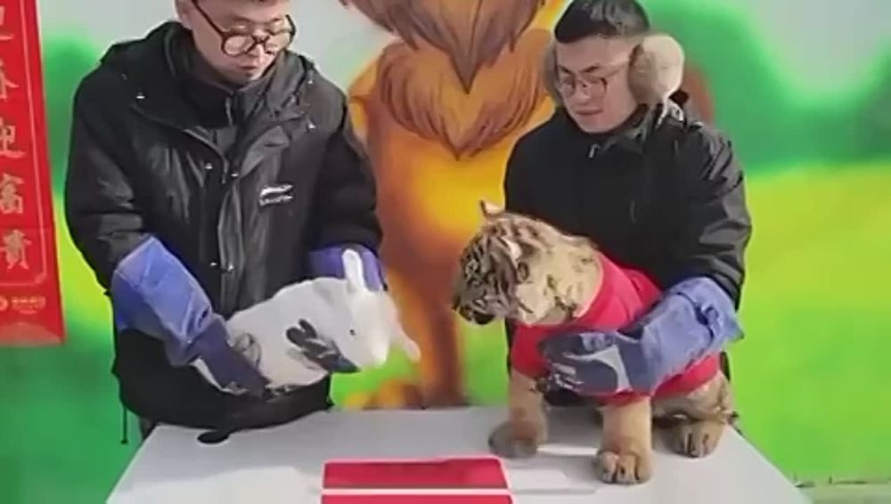 � ����� ��������� ������� ���� �� ������ ������ 2023 ����