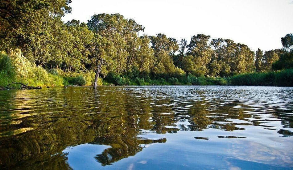 185 ��� ����� ������������ ������ ����� �������