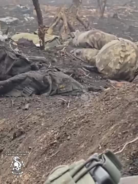 �� �� ������ ��������� ������� ���. � ���� ������������� ��� ���������� ������� ���� ����������