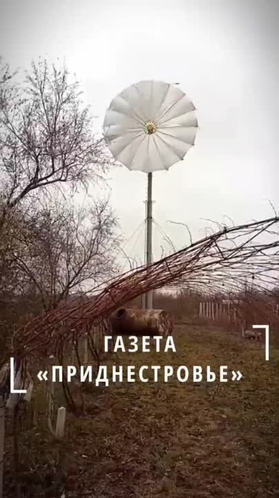 � ���� ������ �������� "������"