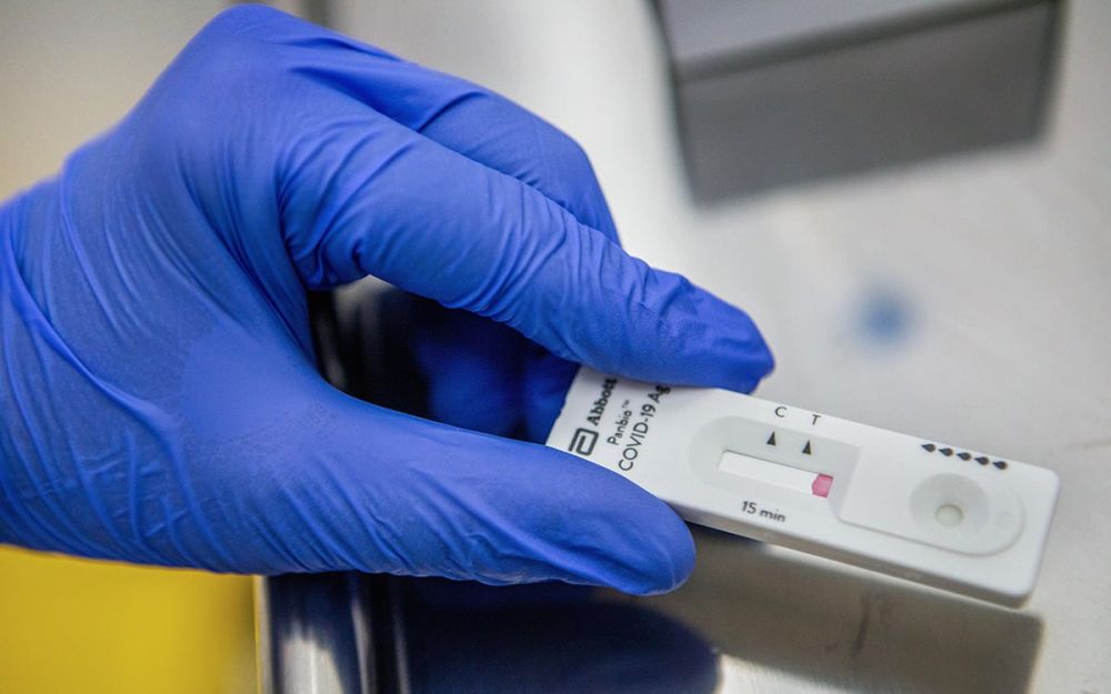 COVID-����������. �� ������ ���������, � 16 �� 22 ������ � ���������� �������� 252 ��������, ����� ��� �� ��������������� - 156