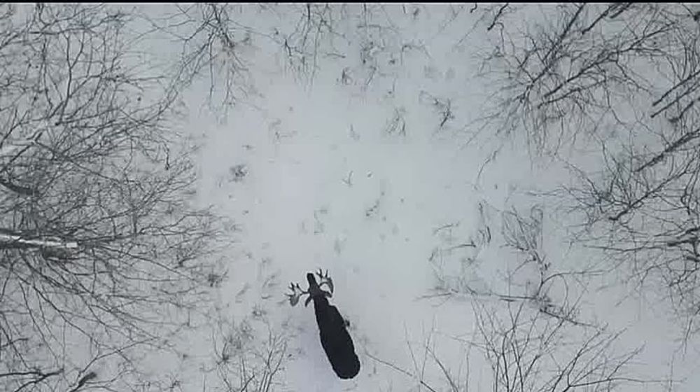 ������ �����: �������� �� ������ ������ �� ���� ������, ����� ���� ��������� ��������� �� �����