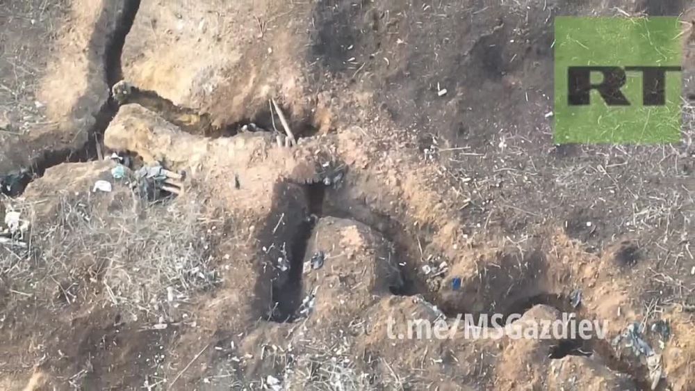 ������� ��� � ���� ��� ����� ������ �� �� � ���������� ��������