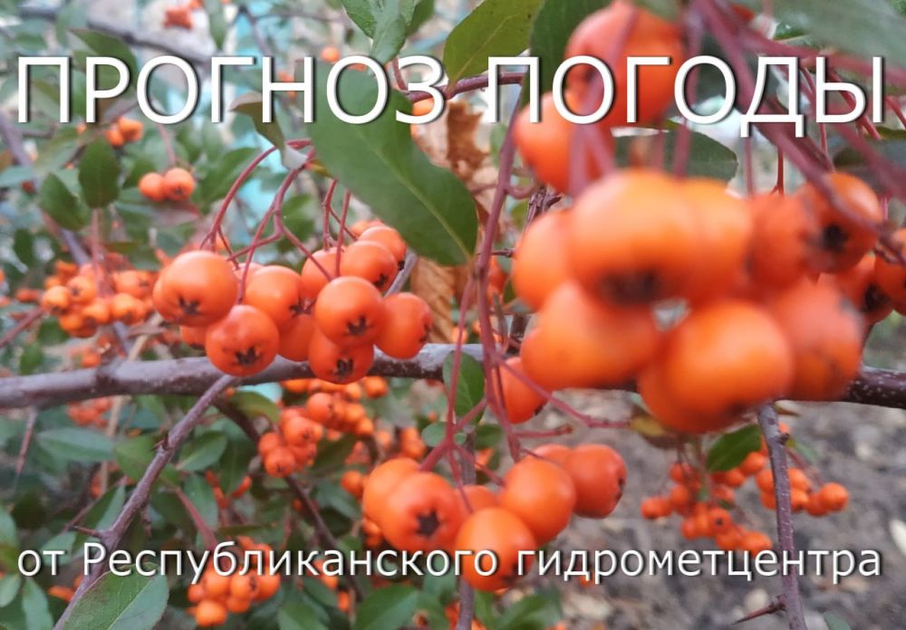 24 ������ ��������� �������� ������, ��� ������������ �������