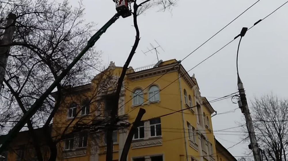 ��������� ������������ ������ �������� ������ ��� ������ �����