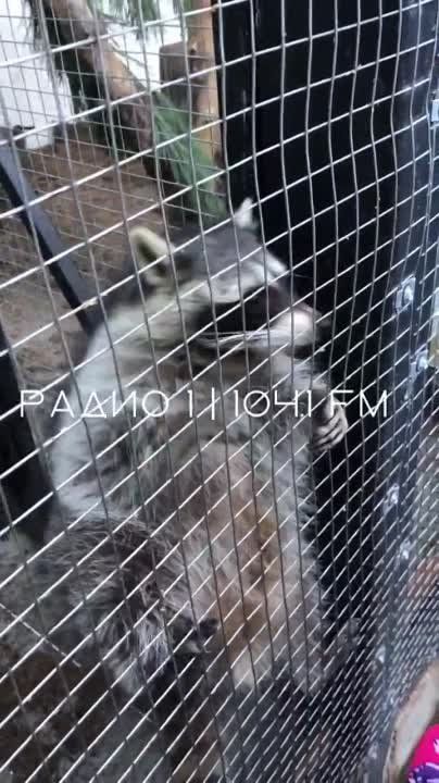 ����������� � �������������� �����