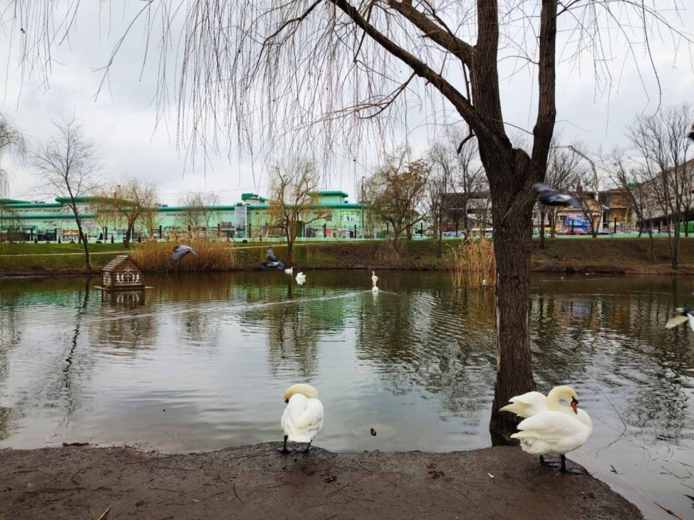 ��� ������ � �������������� ����� �� �����, ����� �� ����