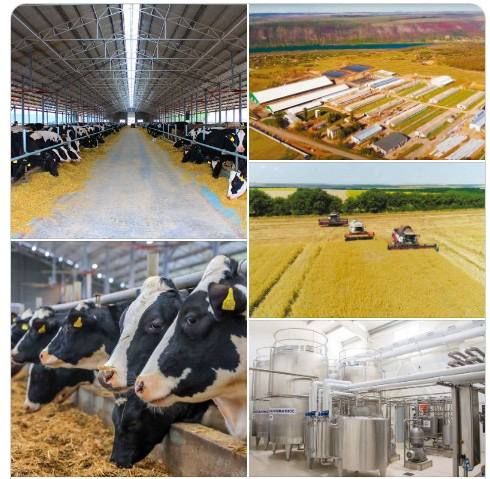 ��������� ������ ���������� ������ � 23 700 ������ ������ � �����