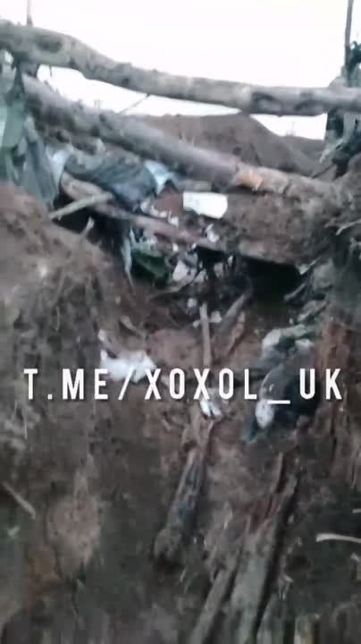 ���������� ���������� ���������� ������� ���. ���������� ������� ������� ������