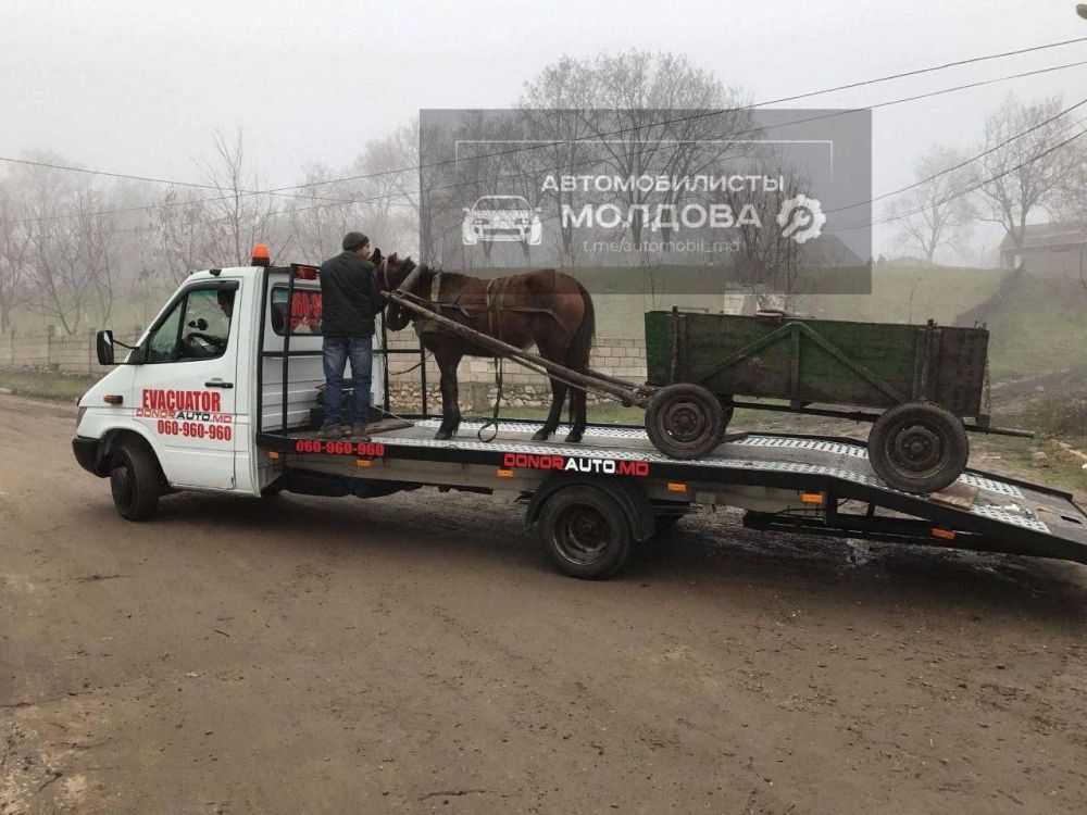 � ������� ��������� ������ ����������� �������������� ������ ������ � �������