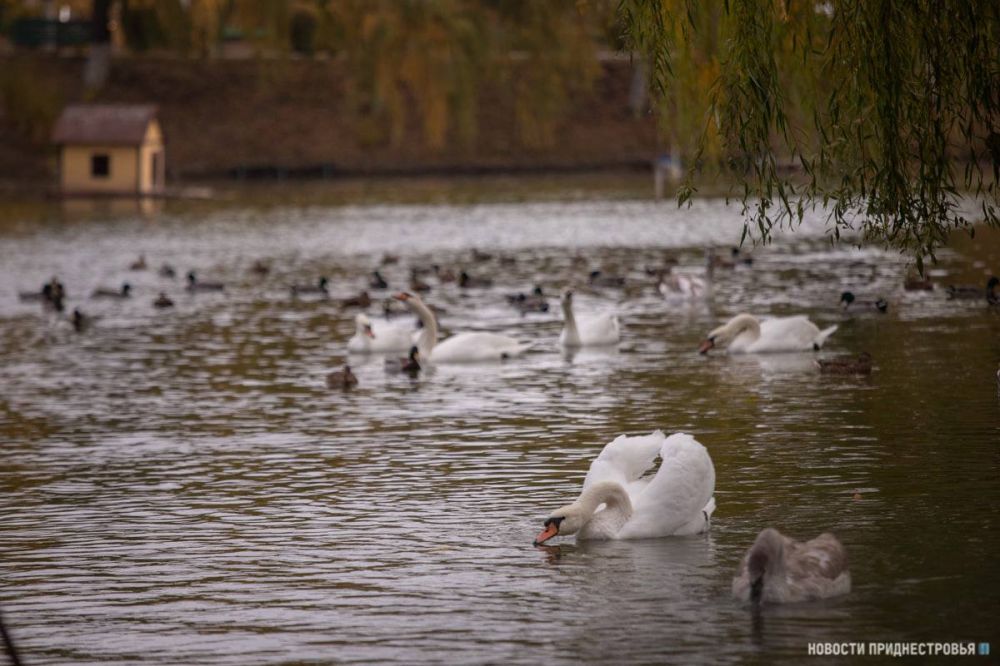 �� ����� � �������������� ����� ������� 3 ������