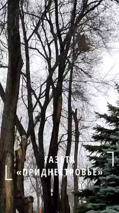 ����� � ������� �� ����������� � ��������� ��� ����� �������