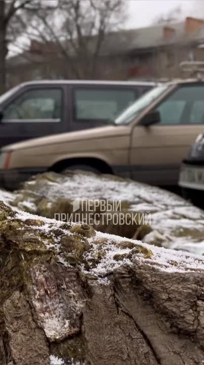 �� ��� ��������� � ����