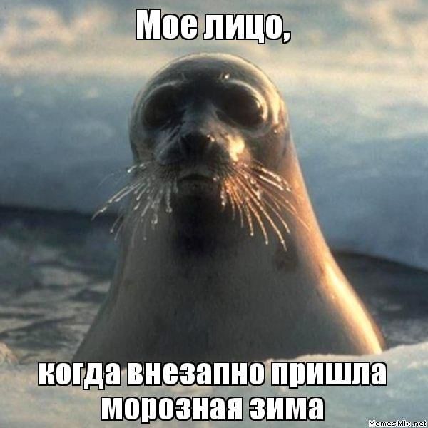 ���� ���� ��� � �� ����� ���� ��������� �����