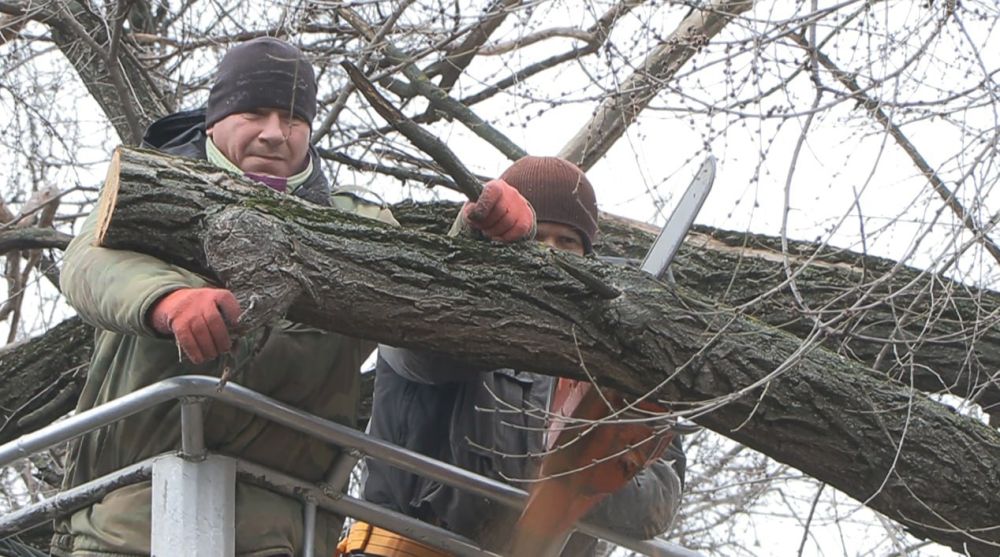 ������ � ���������� ������� � ��������