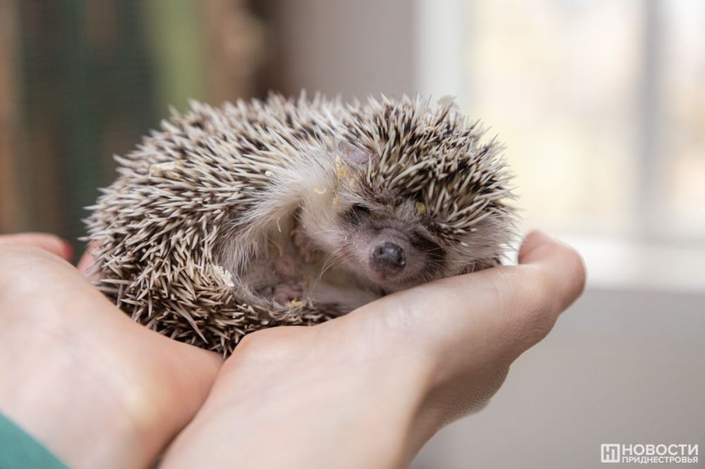 ��������� �� ������ ������� 32 ����, ��� ����� ����� ���������� ����� ��� �� ����� ����� 106 ����� ������