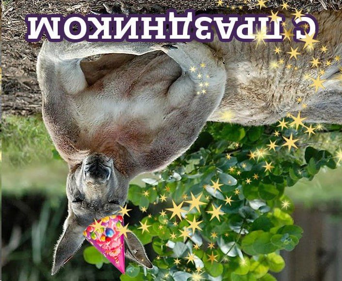 ������� ���������� ���� ���������