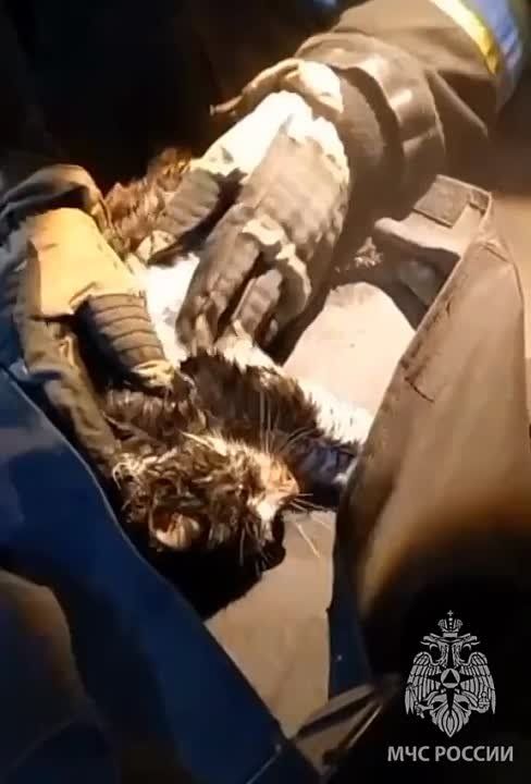 �������� � ����������� �������� ����� ����� ����� ������ ������ �� �������� ������ ������