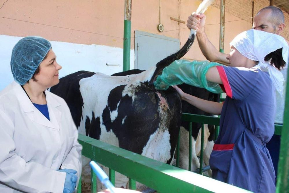 ������� ������� ������� ������� ��������� ����������� � �������������� ��������� ��� ���������� ����� �������� �������� ������ �� ������