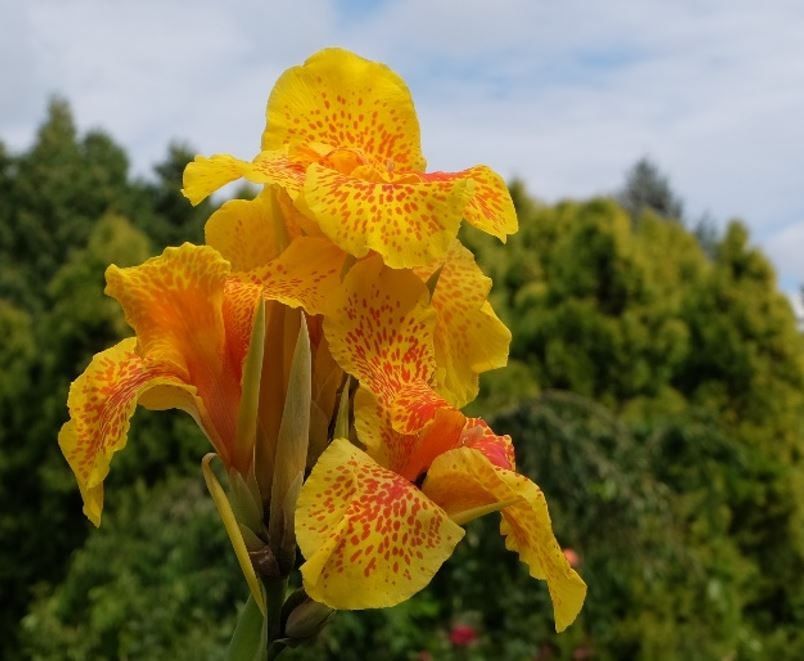 �������������� ������ �������� ������ � ���� ����������