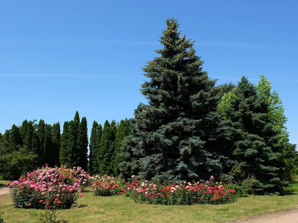 ���������� ������ �� ��������� ������ ��������