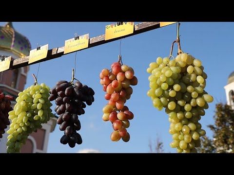 �������, ���������� ���������� ����� �����. ��������� ��������� � ���������� �������� ��� �������� �������� � �������� ���� �������������. ������� � ������������ ���������� ������