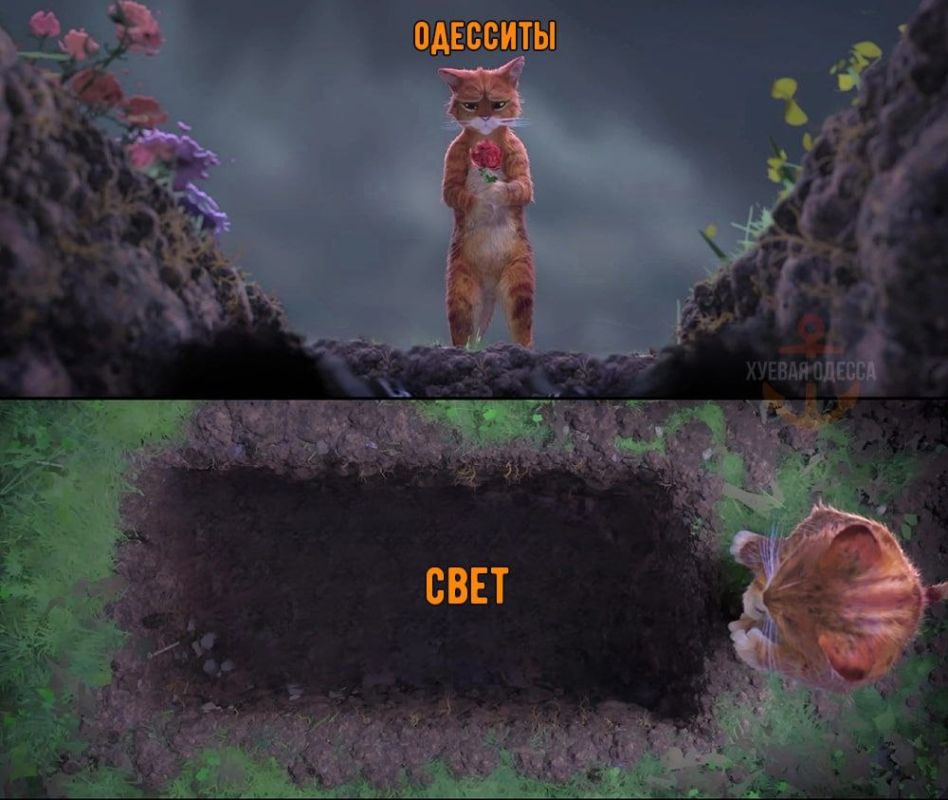 ������ ����� �������, �� ������� ��������� ������ ������