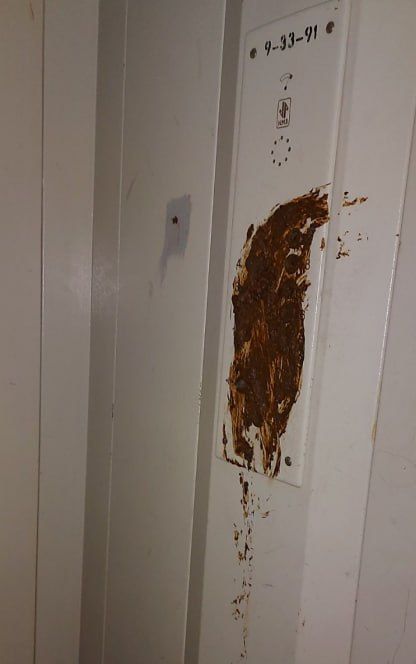 ������ ���� �� �������������, 50 �������� �� ��������