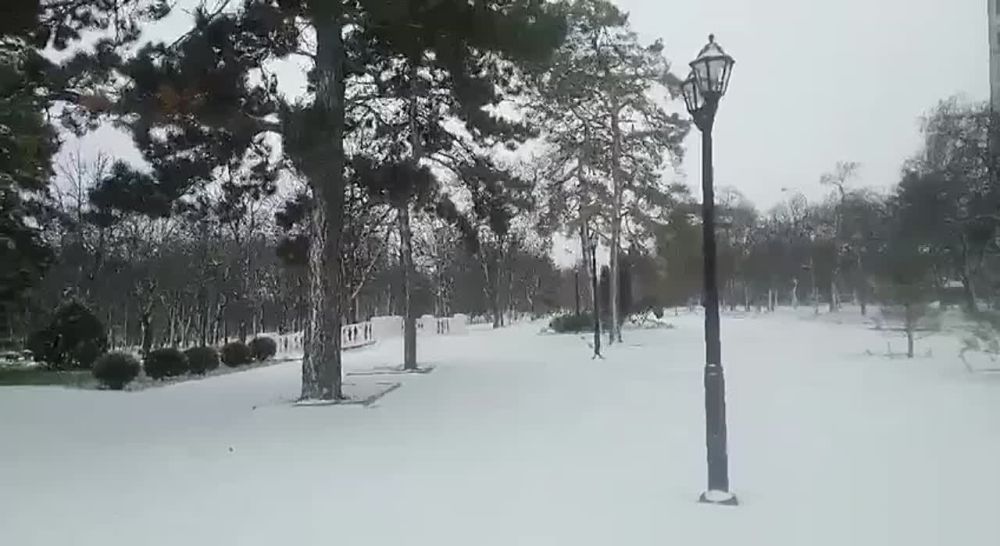 ��� � �����������. ����� ����������� �� ����������, ����� ����������� ����������� ��������� ����