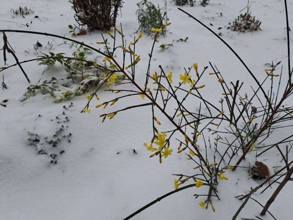 ��� �� ����� - ������ ��������������