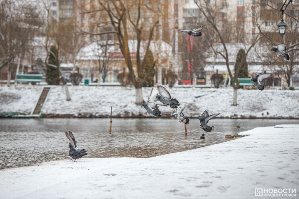 ������� ���� � ��������� � ����� �������������