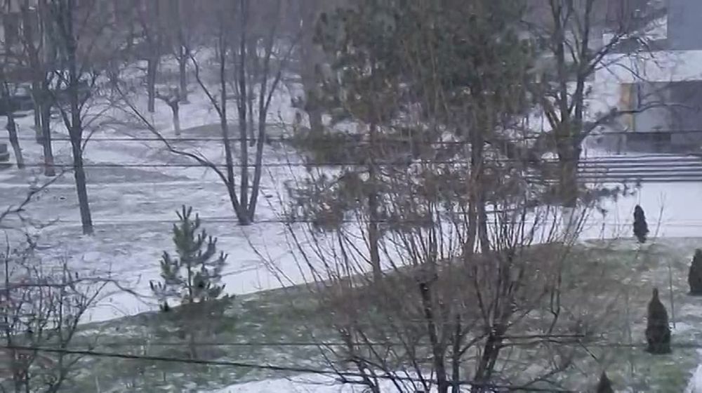 � ��������� ��������� �����