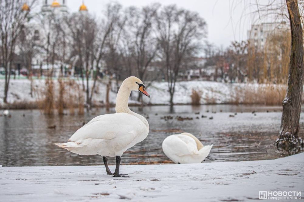 �� ��������� ������ ������ ����������� �� ���������