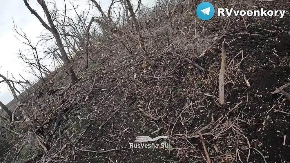 ���������� ������� ����� ������� ������� ���������� � ������� ��������� ���������� �������� ������� � ����, ������������ �� �����