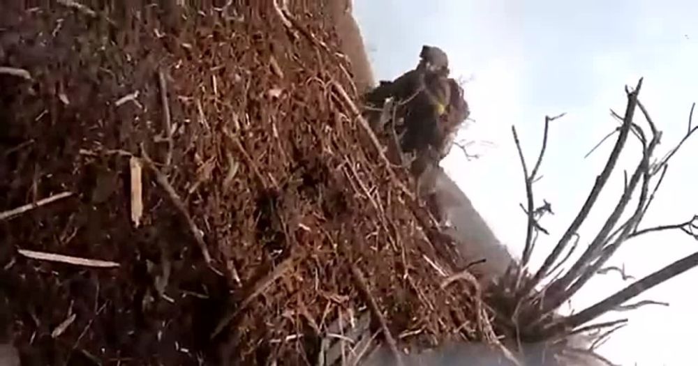 ����� � ����� ����������. ������ ��� ��������� �� ������� � �������