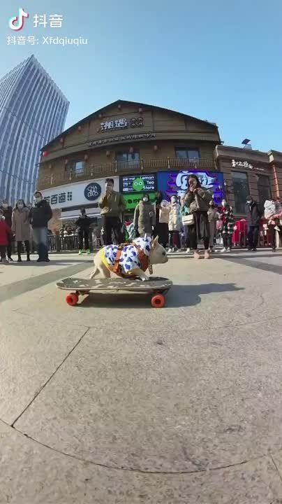 ����� �� ����� ������ ������� �������� �� ������, ��� ����� �������� �� ��������, ����������� ��� ��������� ������, � �������� � �����, ������ �����