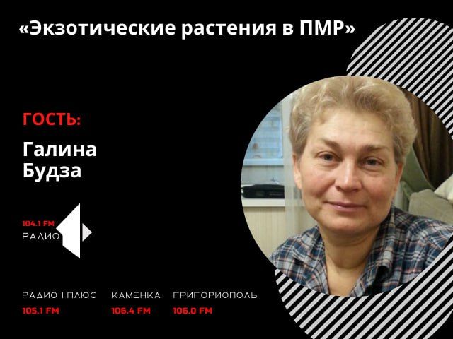 ������������� �������� � ��л