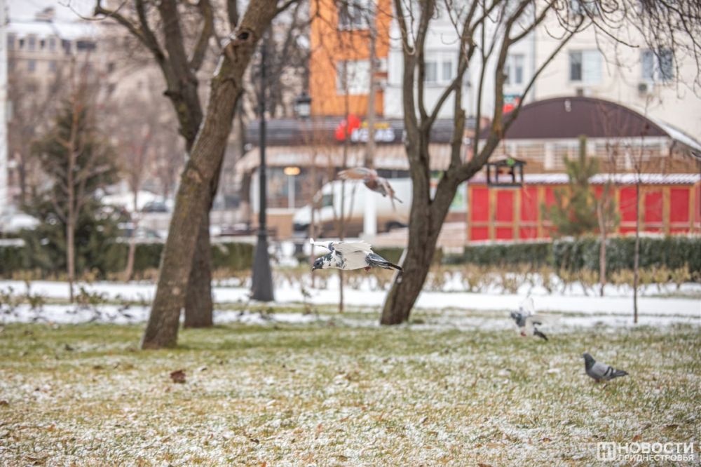 ������ ������� ���� � ����������, �������� �������������