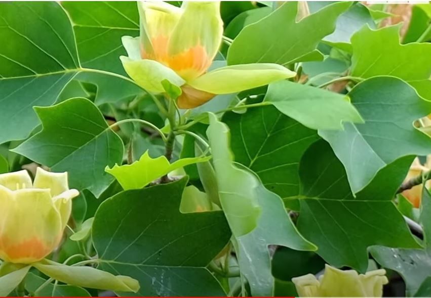 �������� ���: ��� ���� �������� ��������� ������