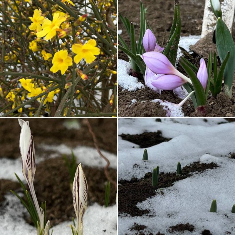 � ������������ ���� ������� �����������, ������ � ������������� ������