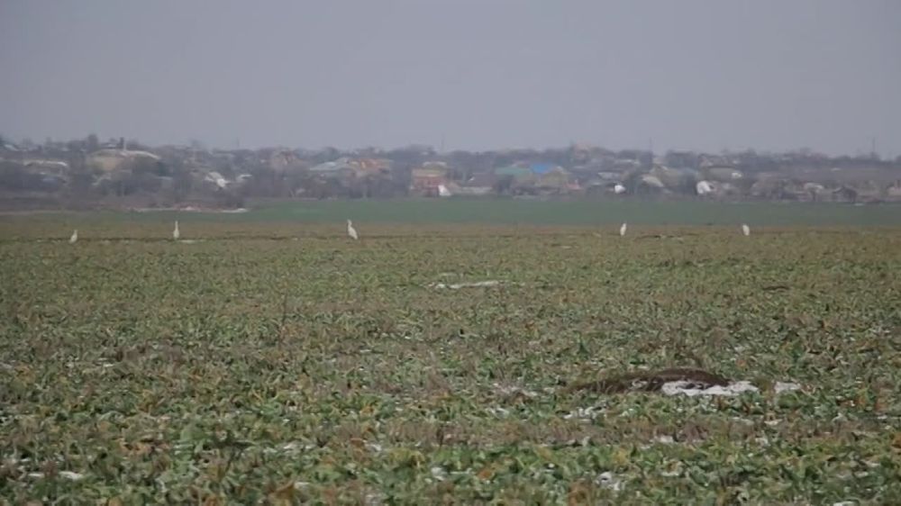 � ���� � ���� ������������ ����� ���� ������ ����� ������